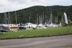 DSCF0153