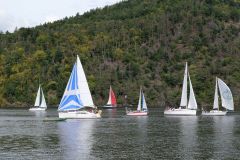 P1116858