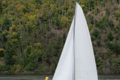 P1116957