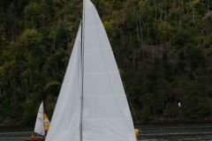 P1116958