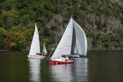 P1116964