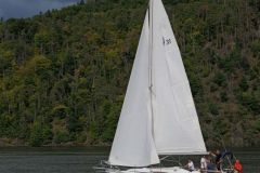 P1116972